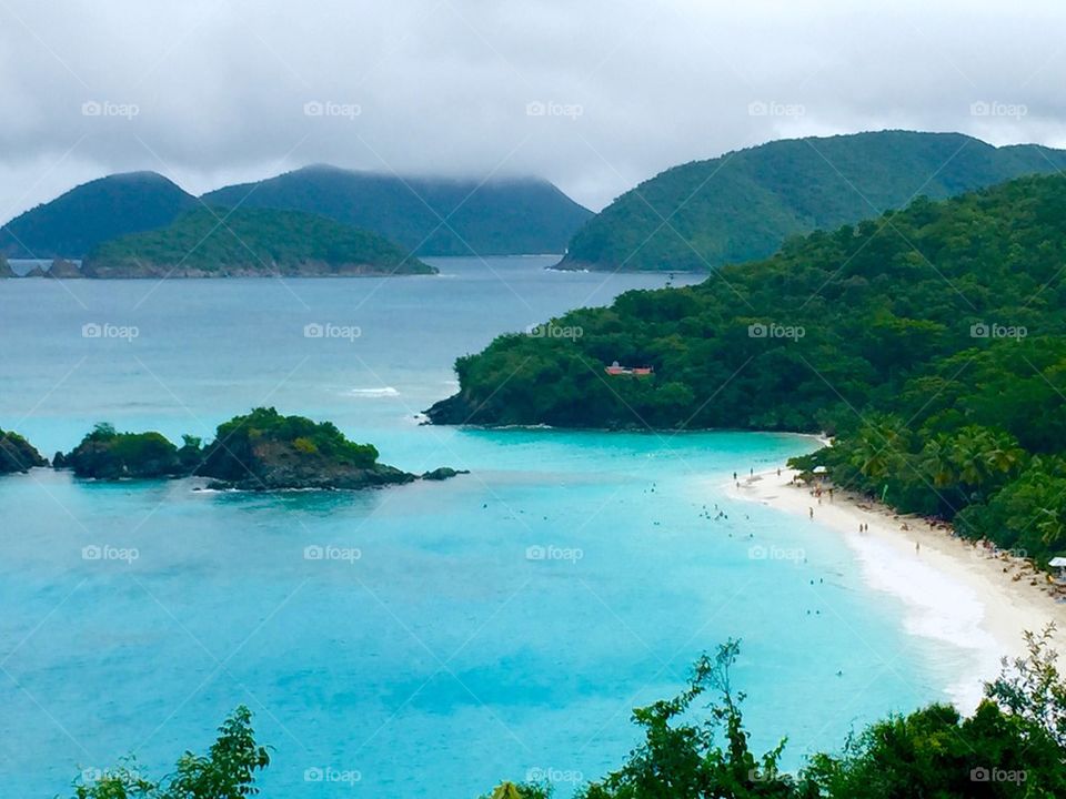 High angle view of trunk bay