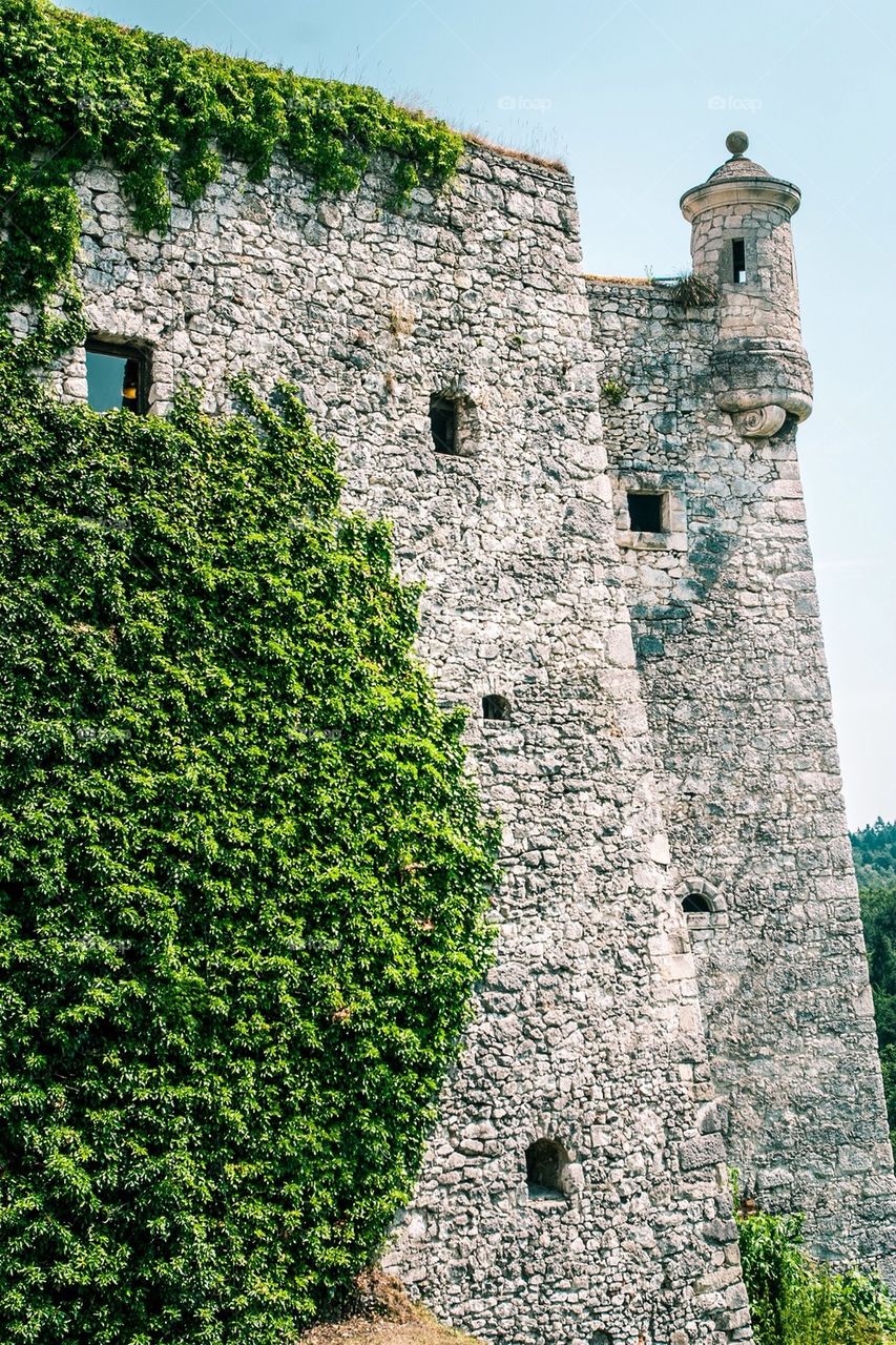 Pieskowa Skała in Ojców. Poland