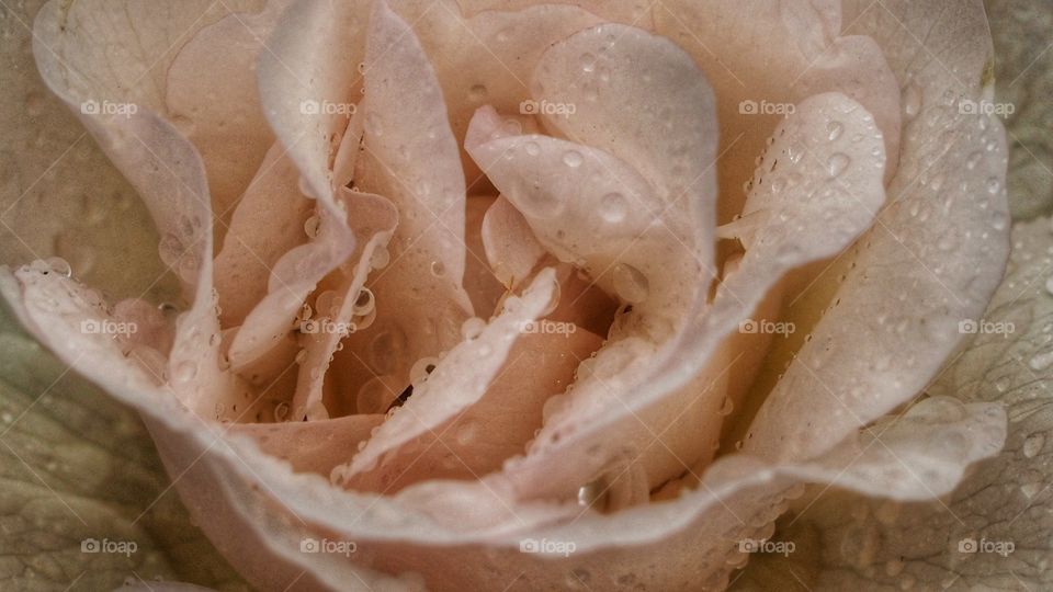 Experimentando
Experiencing