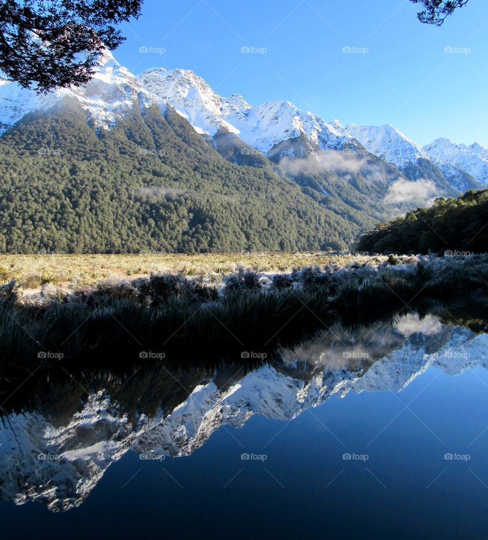 New Zealand’s mirror lakes are unbelievable. This still pond was down in the Fiordlands on New Zealand’s South Island.