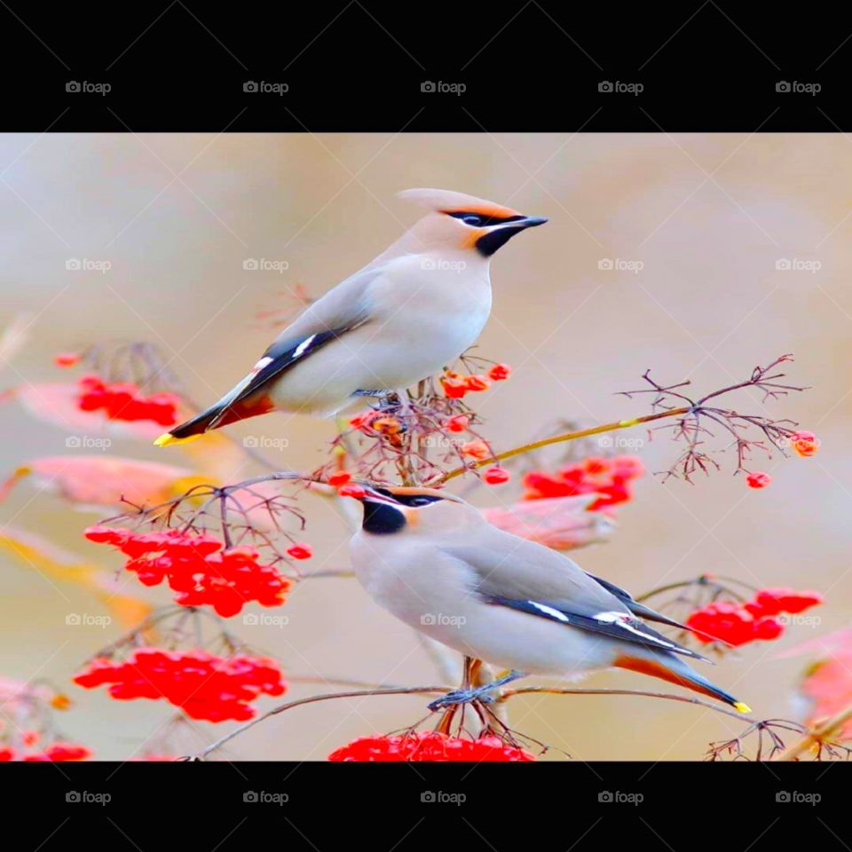 💲💲💲💲💲💲💲💲💲💲💲💲💲💲