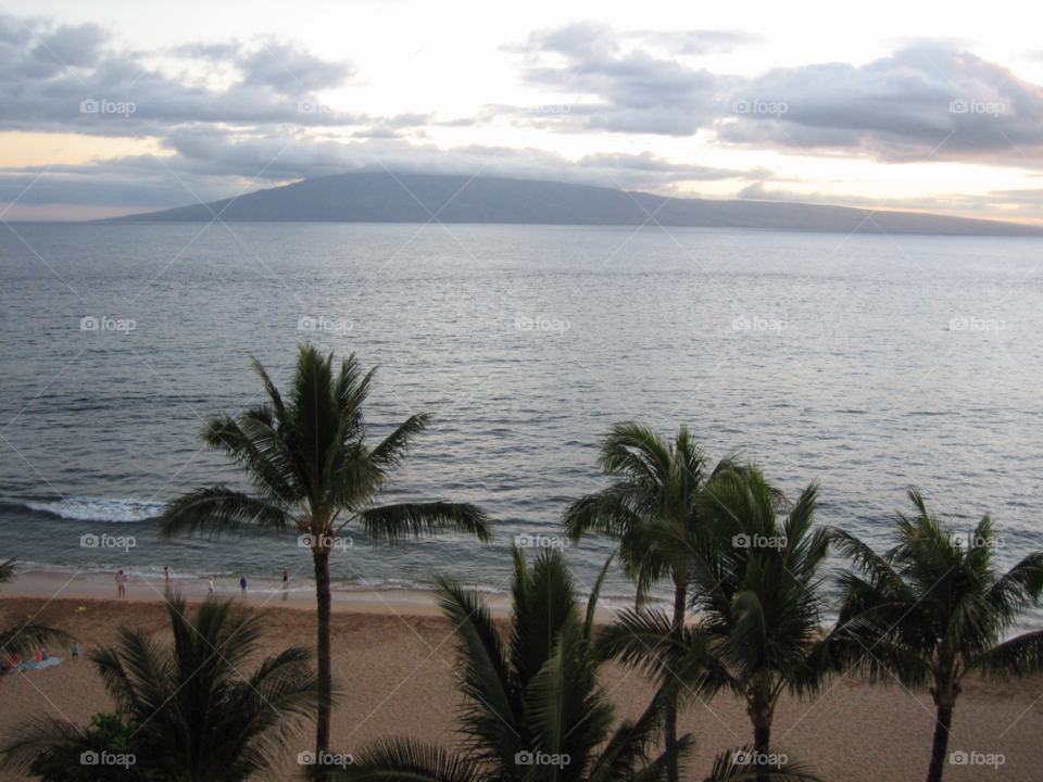 hawaii beach ocean water by melody