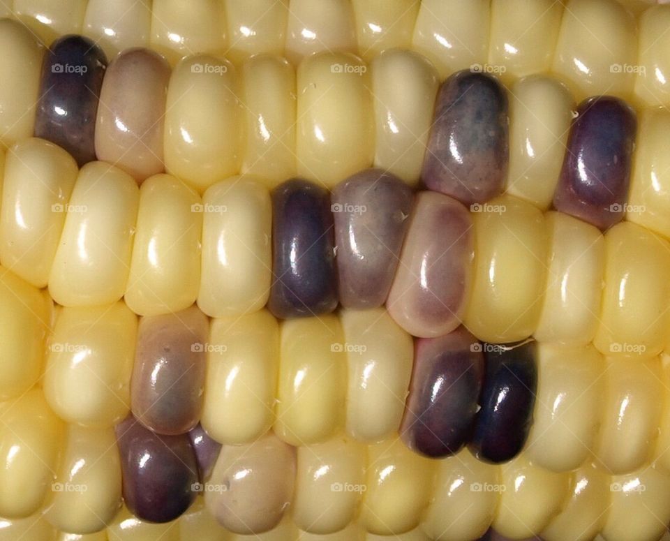 Corn kernels 