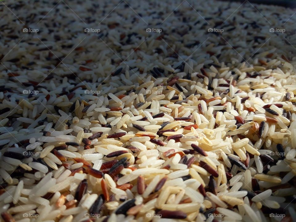 Beautiful colorful rice close up for background.