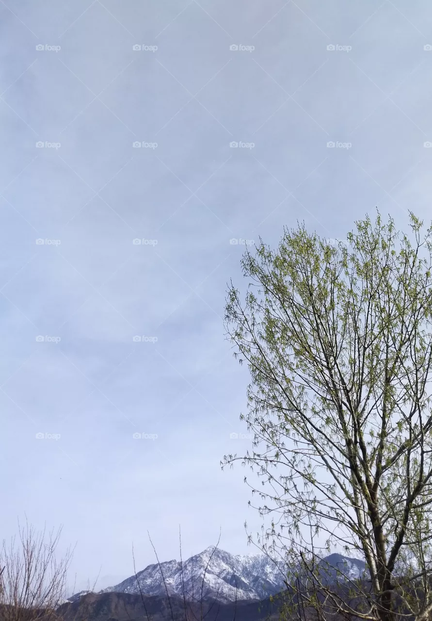 clouds on sky