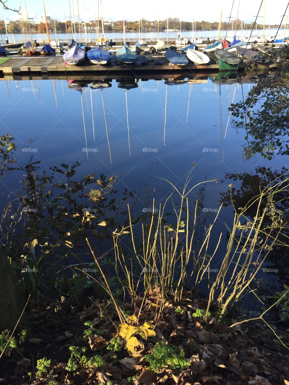 Lake alster