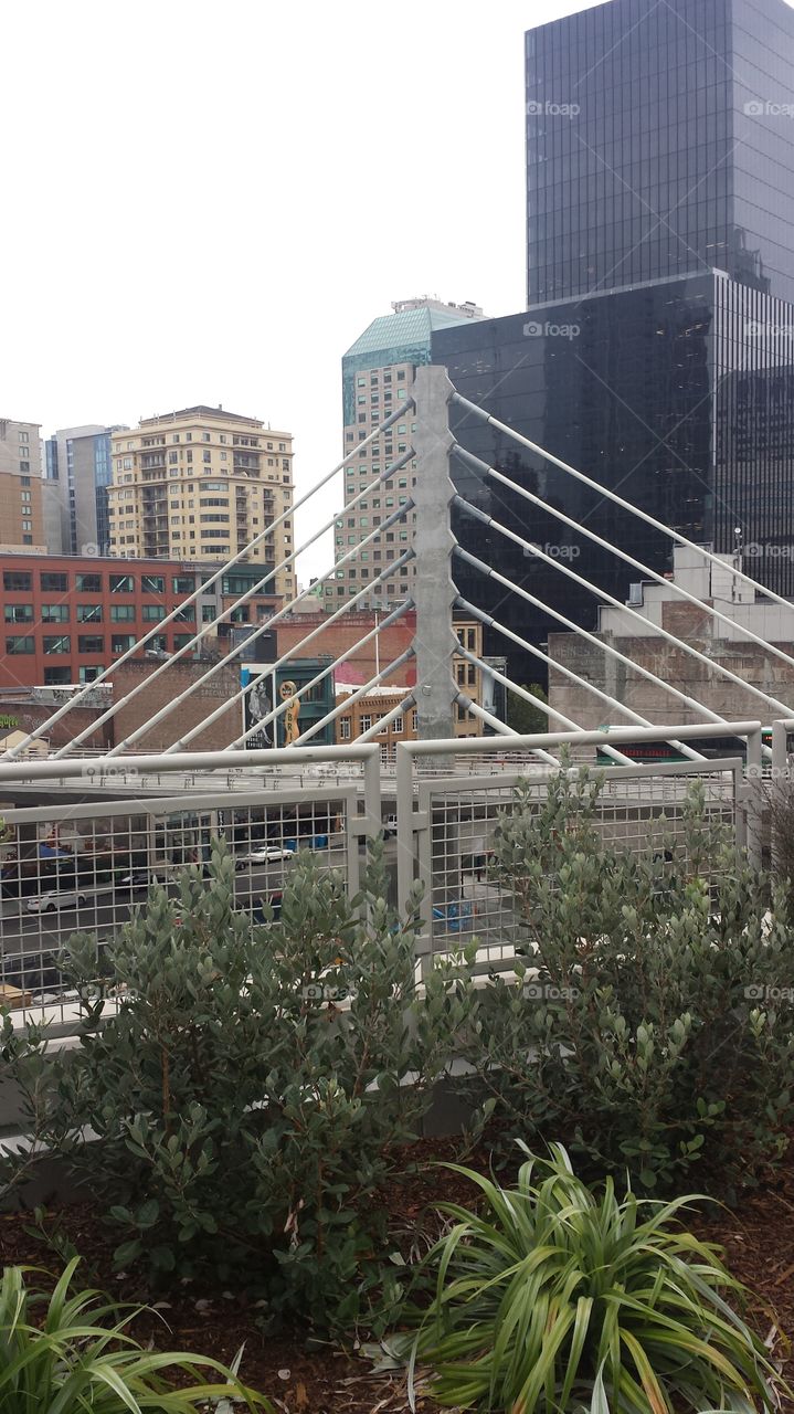 Salesforce transit bridge
