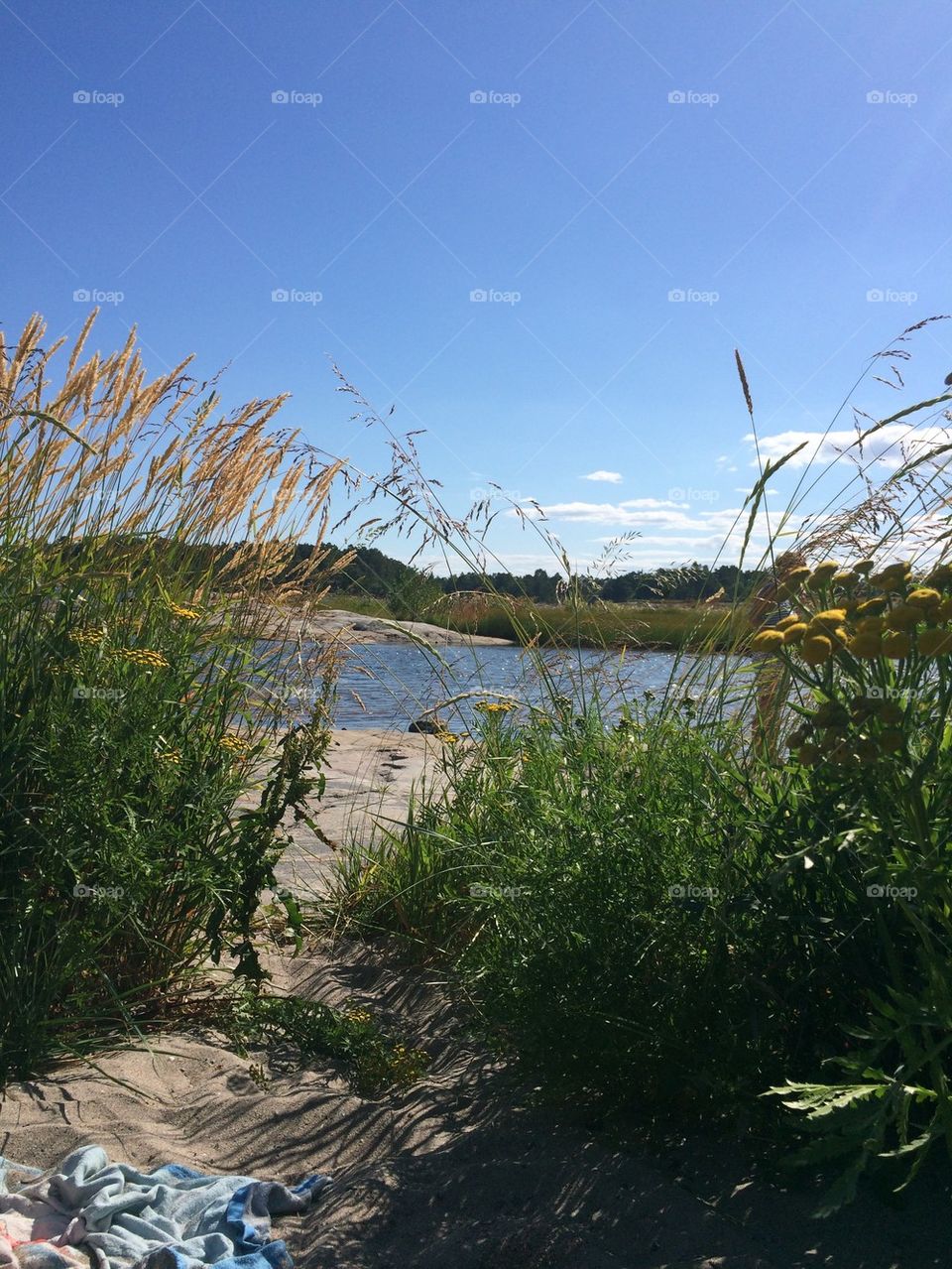 A sunny day in Sweden