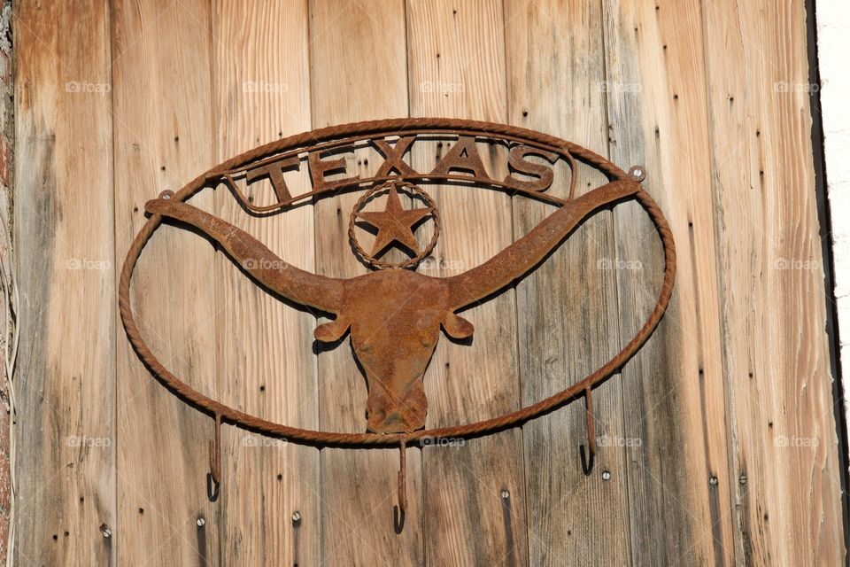 Texas Sign