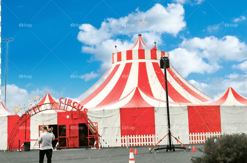 Circus day