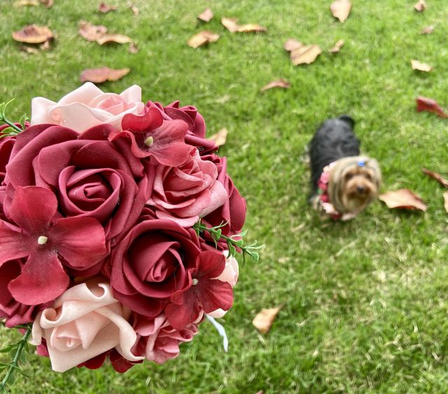 dog and flower 🐶