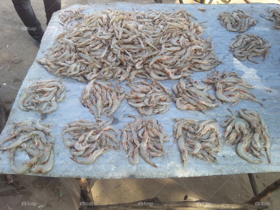 looking for a healthy food for health living..here are the prawns from the sea.a very delicious natural food.good for health.