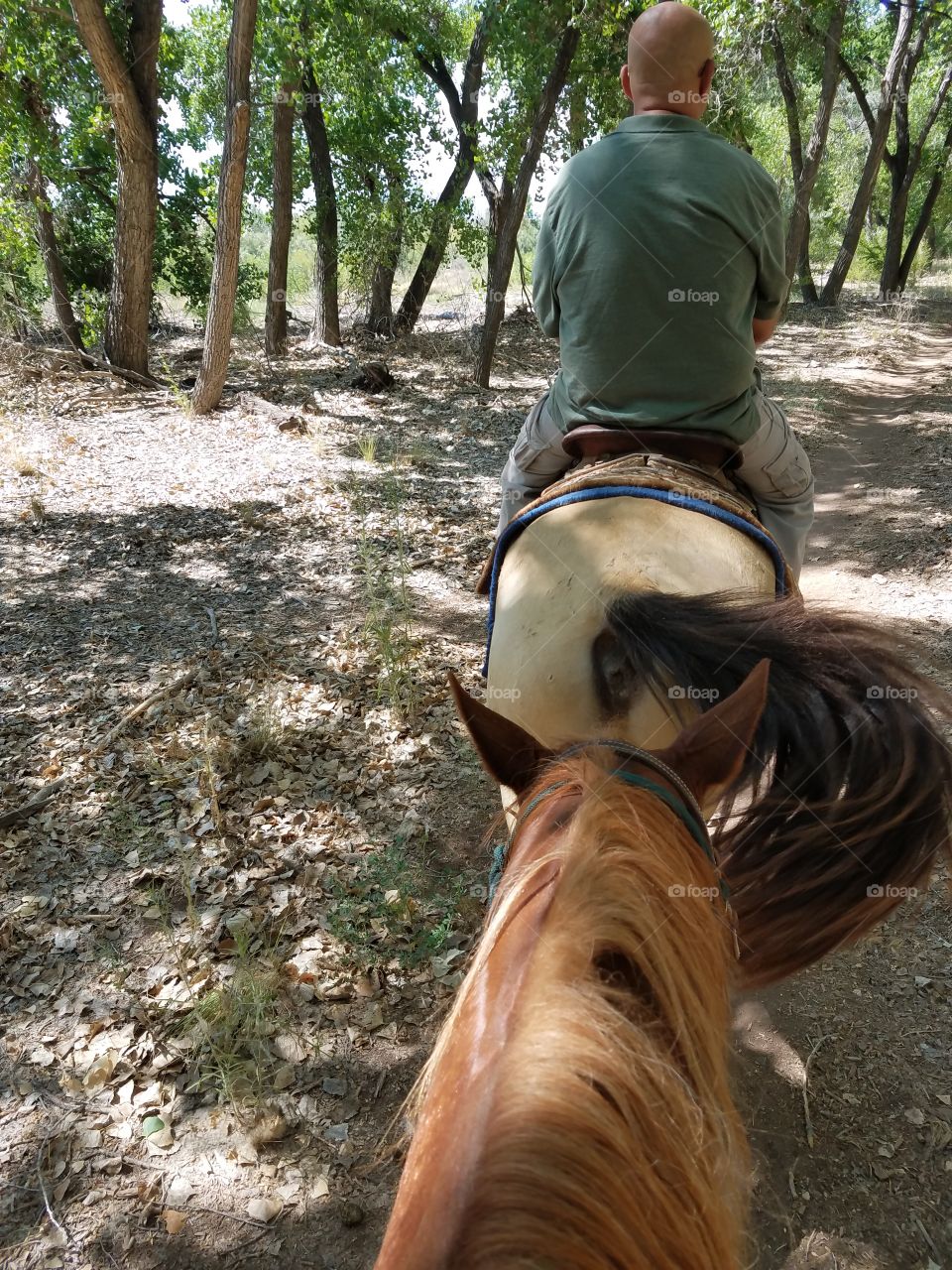 On a Horse trail