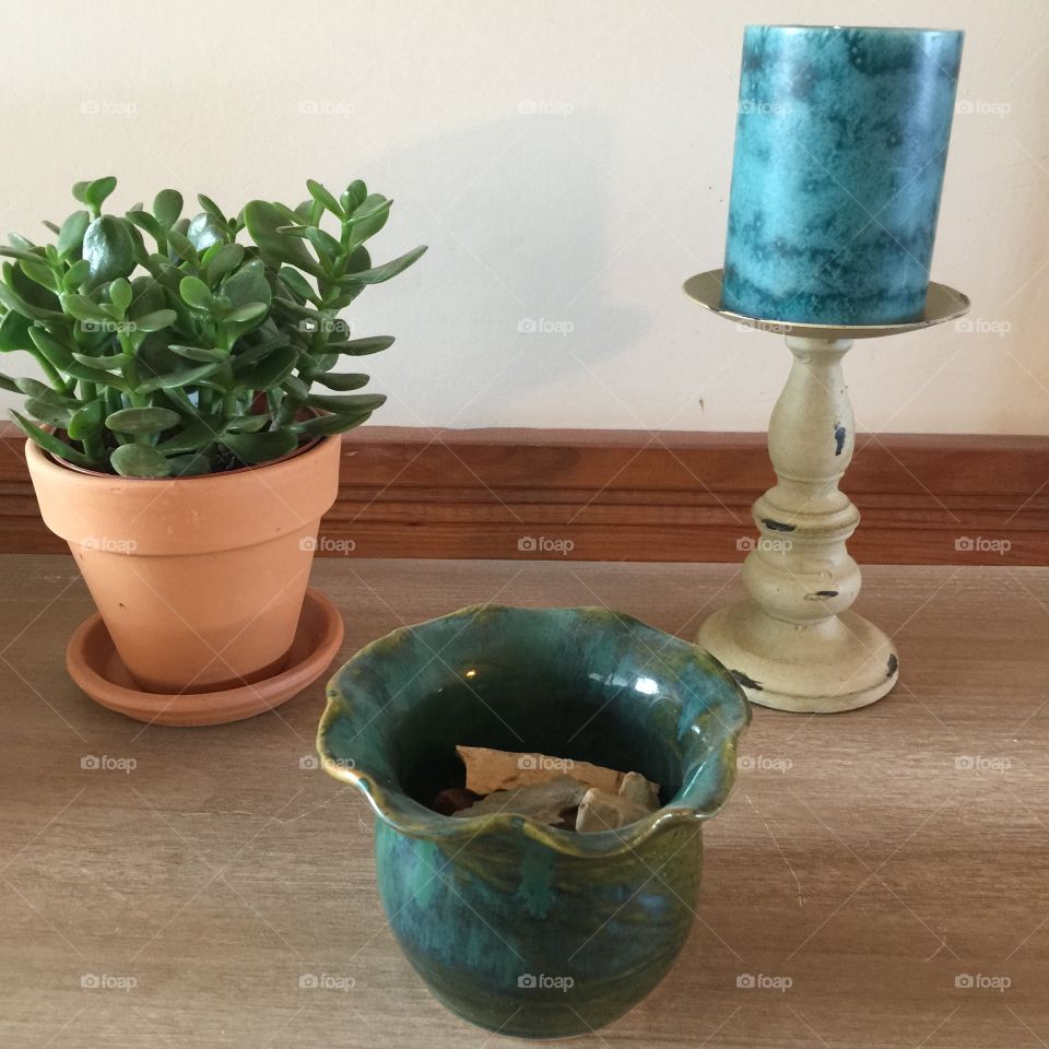 Plant and candle