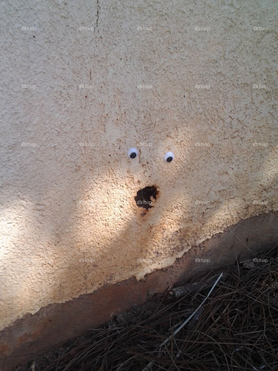 Face in the Plaster Wall