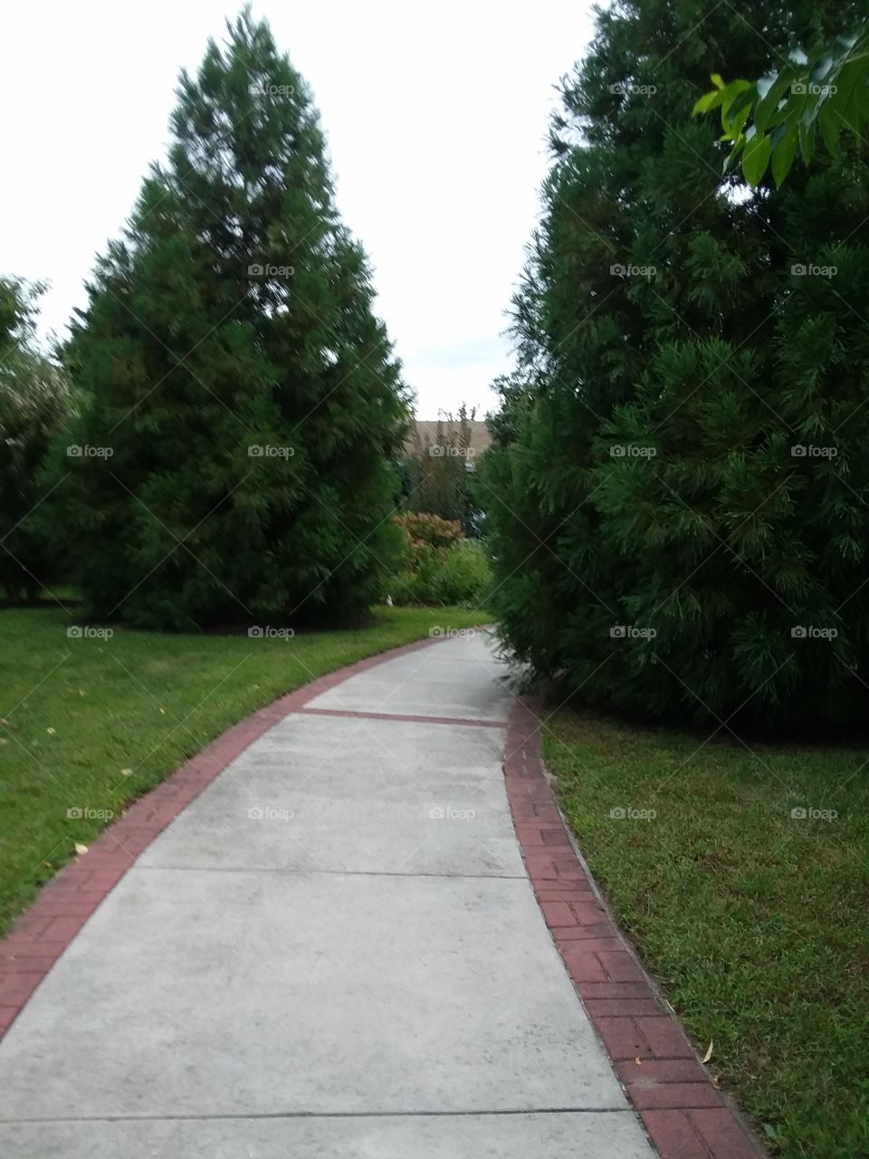 A beautiful day  for following a path through a garden park