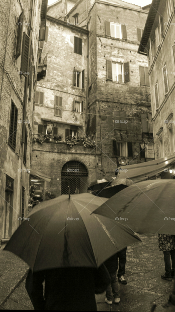Umbrellas on a rainy day in Italy