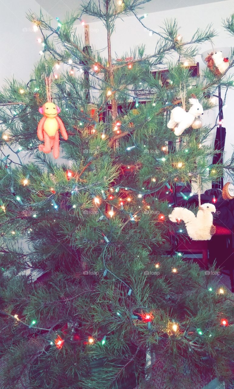 A College Student's Christmas Tree