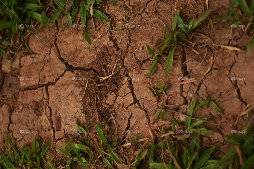 brown its dry land for summer background. don't weste water drops