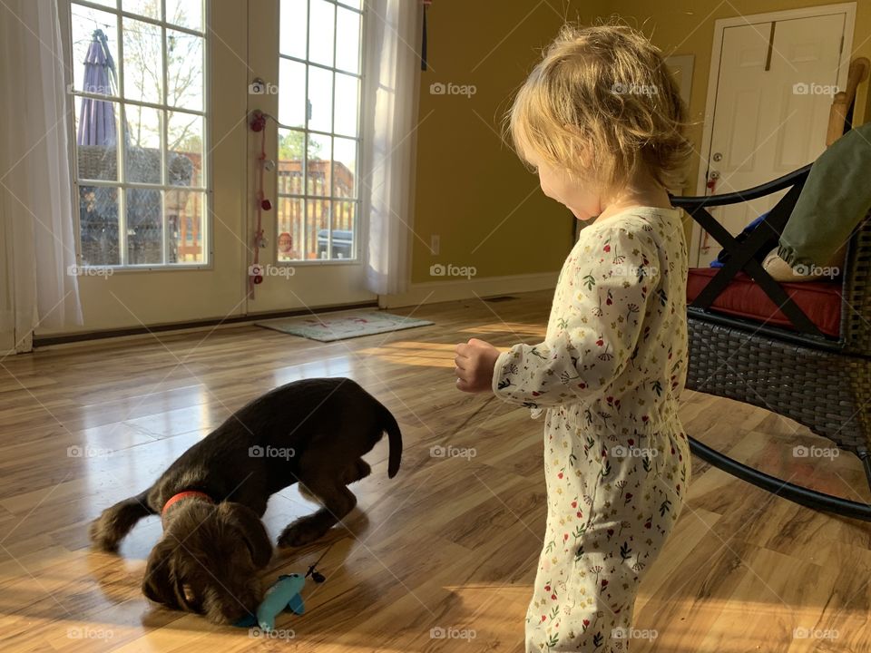 Puppy love at golden hour 