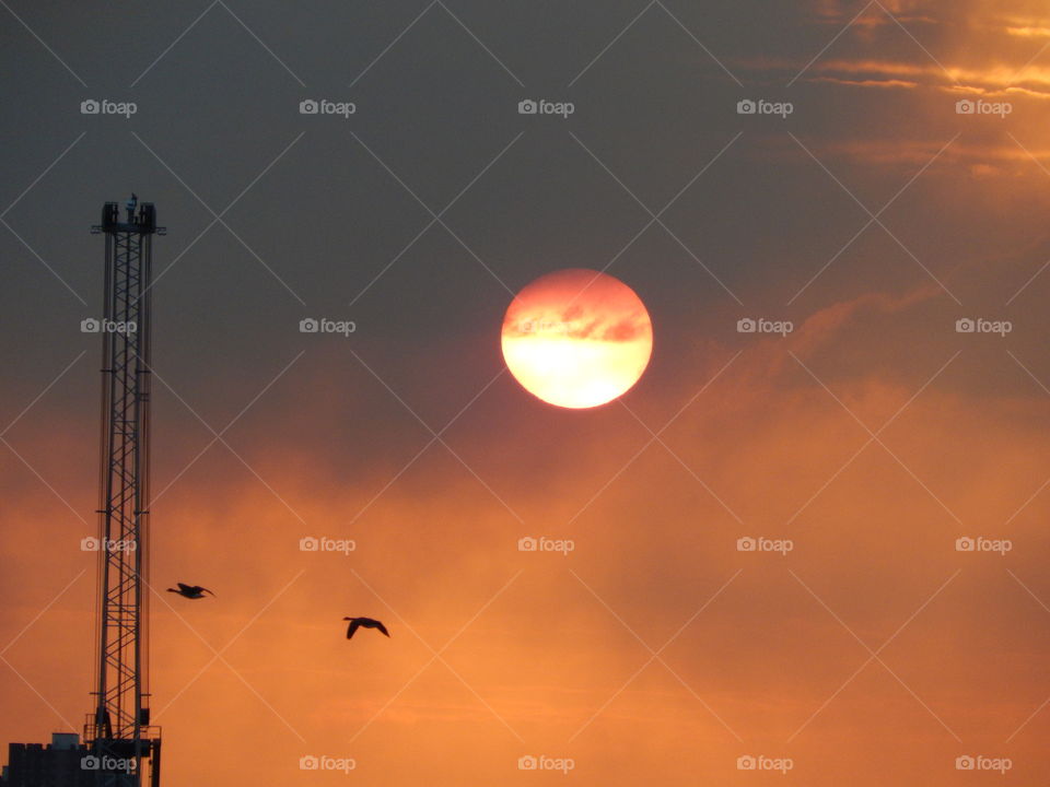 Ducks at industrial sunset