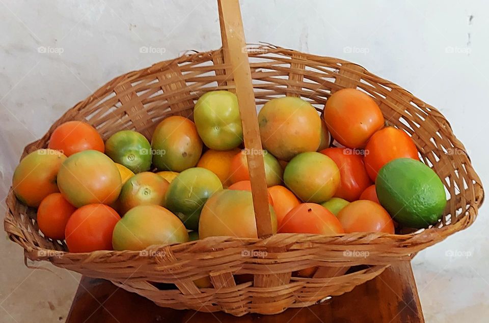 Tomates frescos,maduros, saborosos porque não tem agrotóxicos.