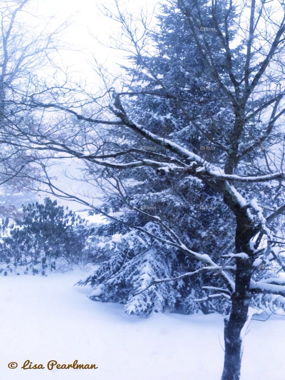 Winter Wonderland Mission