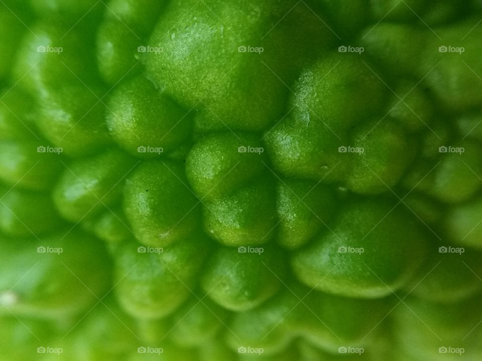 green blisters- texture. skin of bitter melon