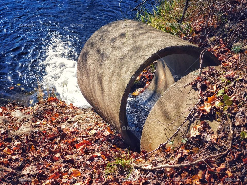 Mondo Pond in Milford, CT