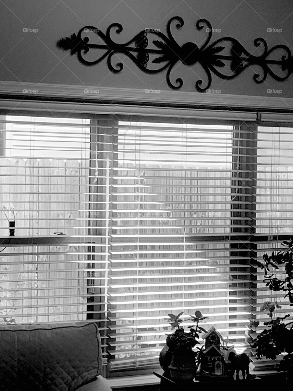 Blinds B&w 