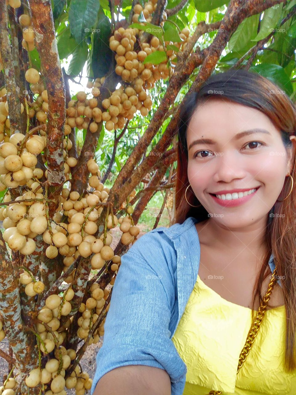 picking some fruits.