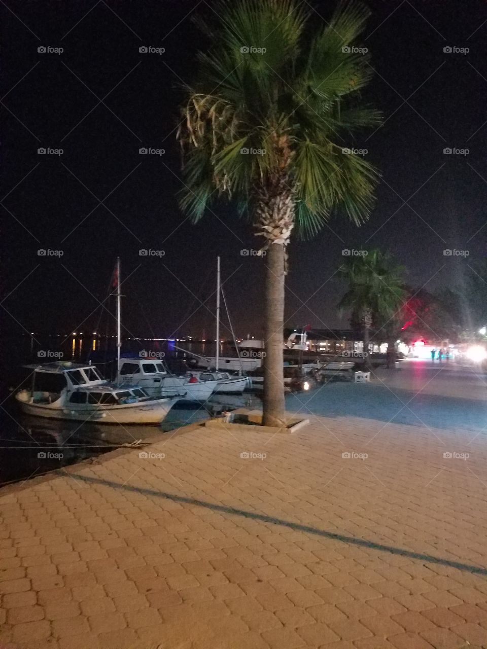 night shot of boats docked at a harbor in fethiye turkey