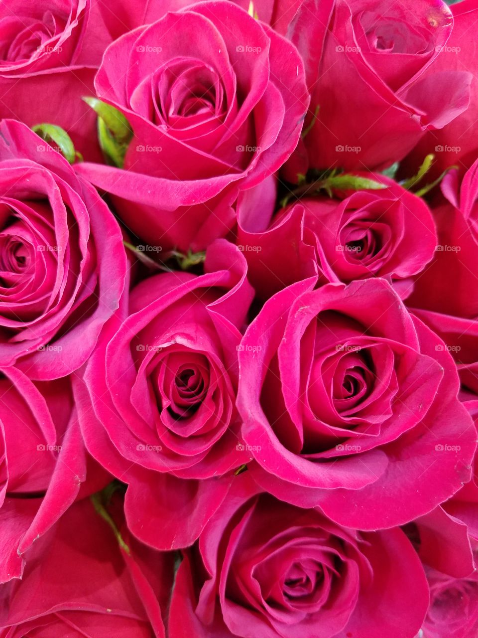 Bouquet of roses!