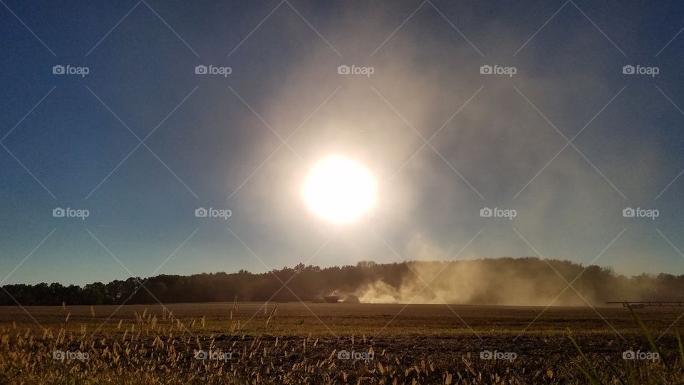 Harvest time in Southwest Ohio.  A cornfield near Batavia has nearly been cleared as the sun begins to set on October 21, 2018.