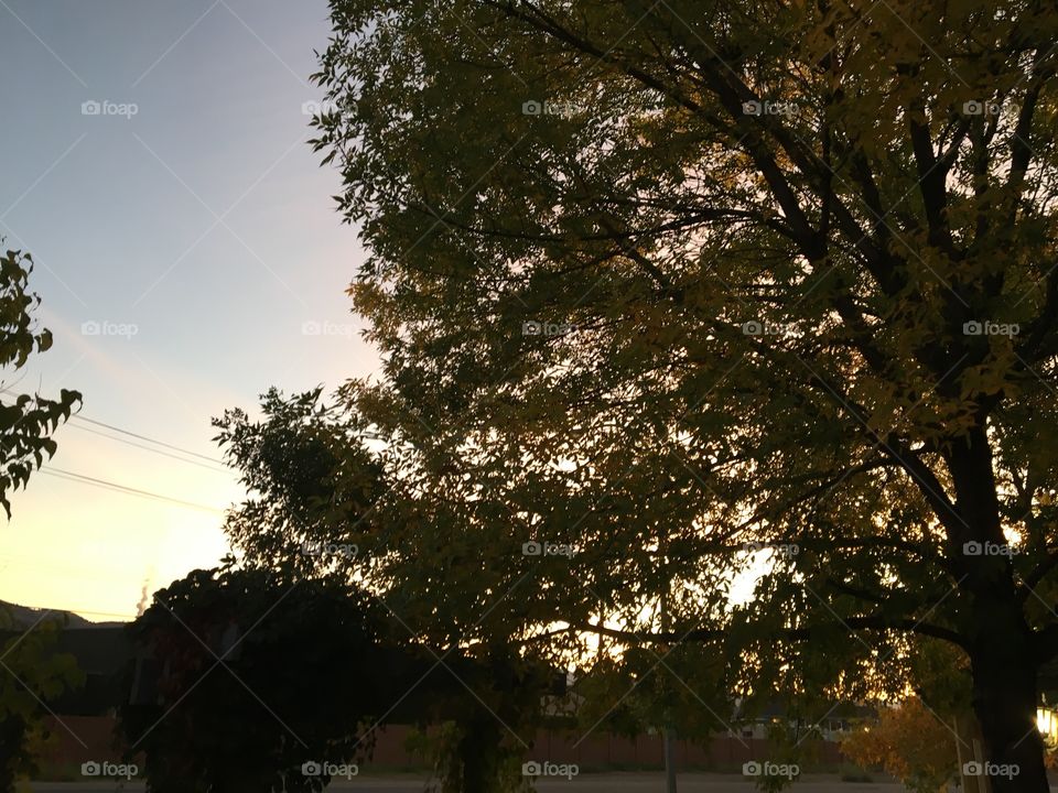 Beautiful summer evening 