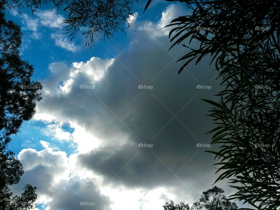 grey storm cloud under The blue sky view by tree leaves
