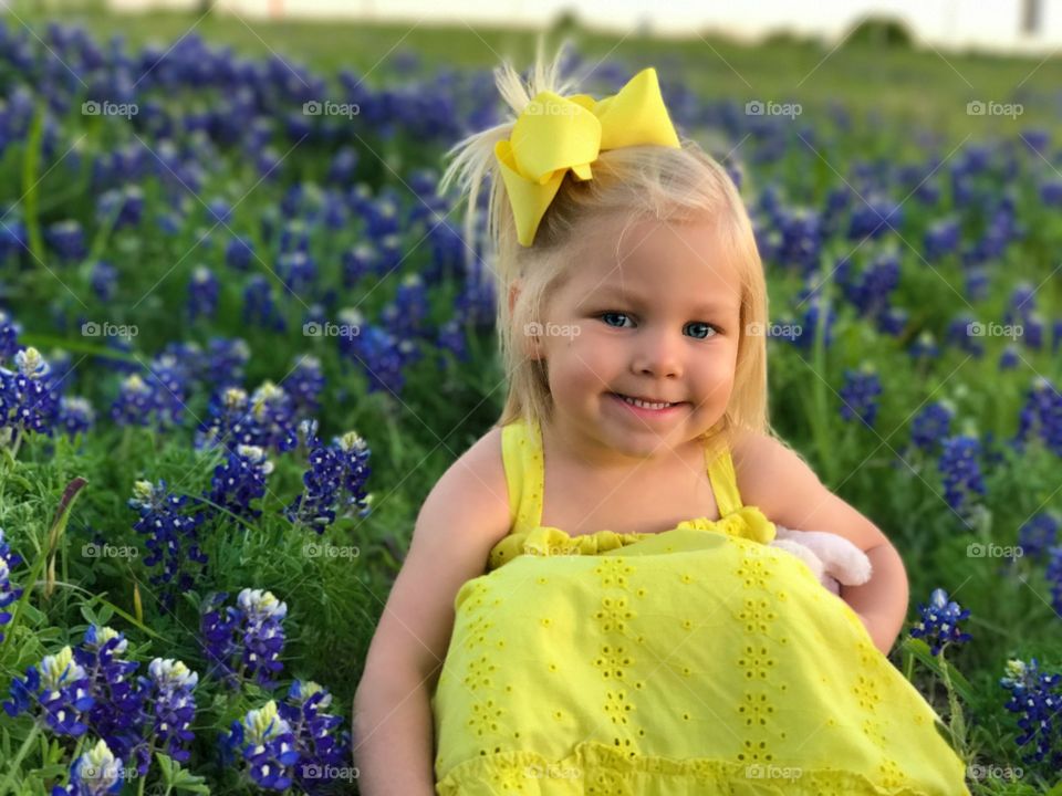 Bluebonnets 