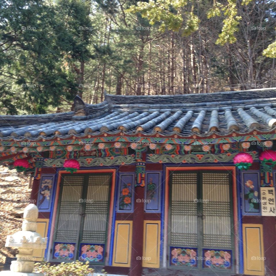 South Korean Dwelling