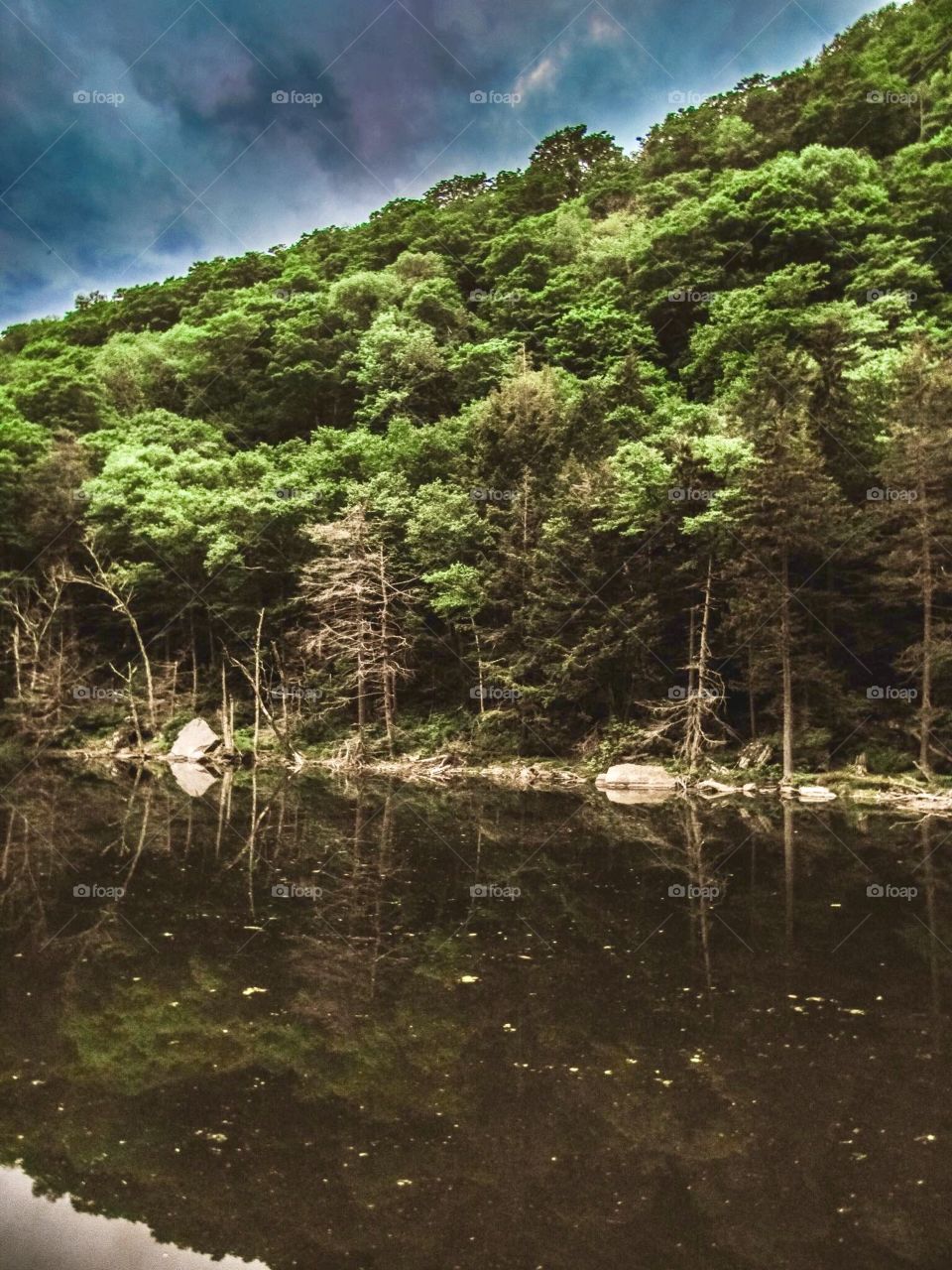 Devils Tombstone New York, wildlife, lake, grass, nature, landscape, peaceful, road, clear water, water, like mirror, trees, mountains,