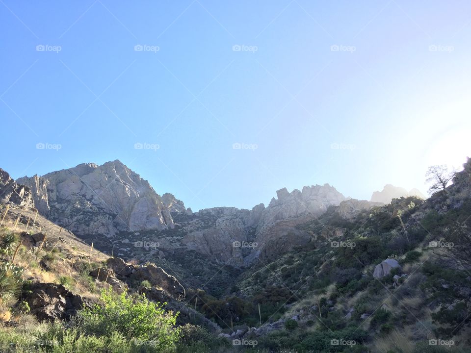 Looking up to the Organ Mountains at sunrise.