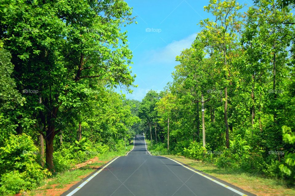A highway of India, Deciduous forest in two sides of the road, Its very straight road to enjoy long drive with the soft music. Its located in eastern part of India.