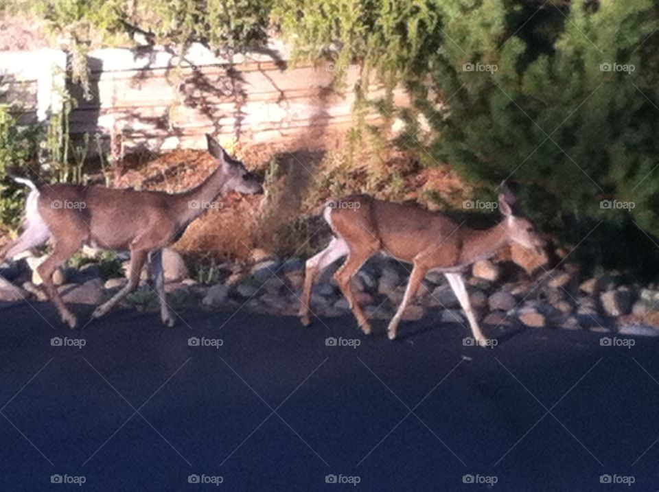 just passing through  
