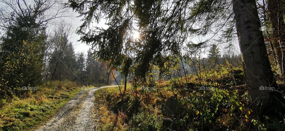 Herbst in Österreich