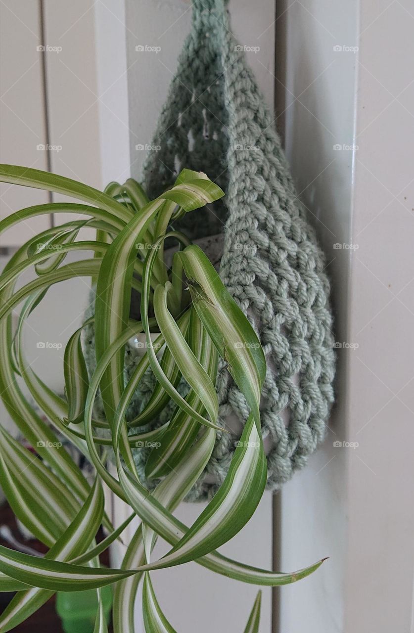 Crochet hanging basket