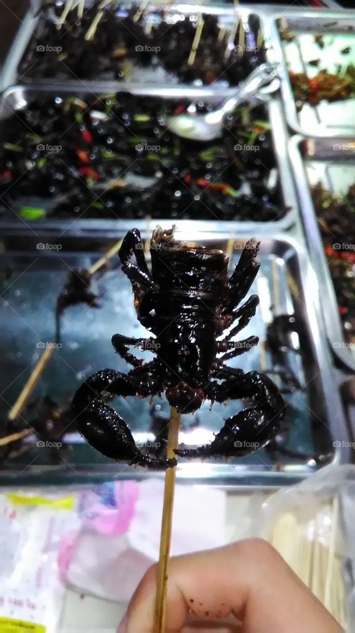 scorpion in Cambodia