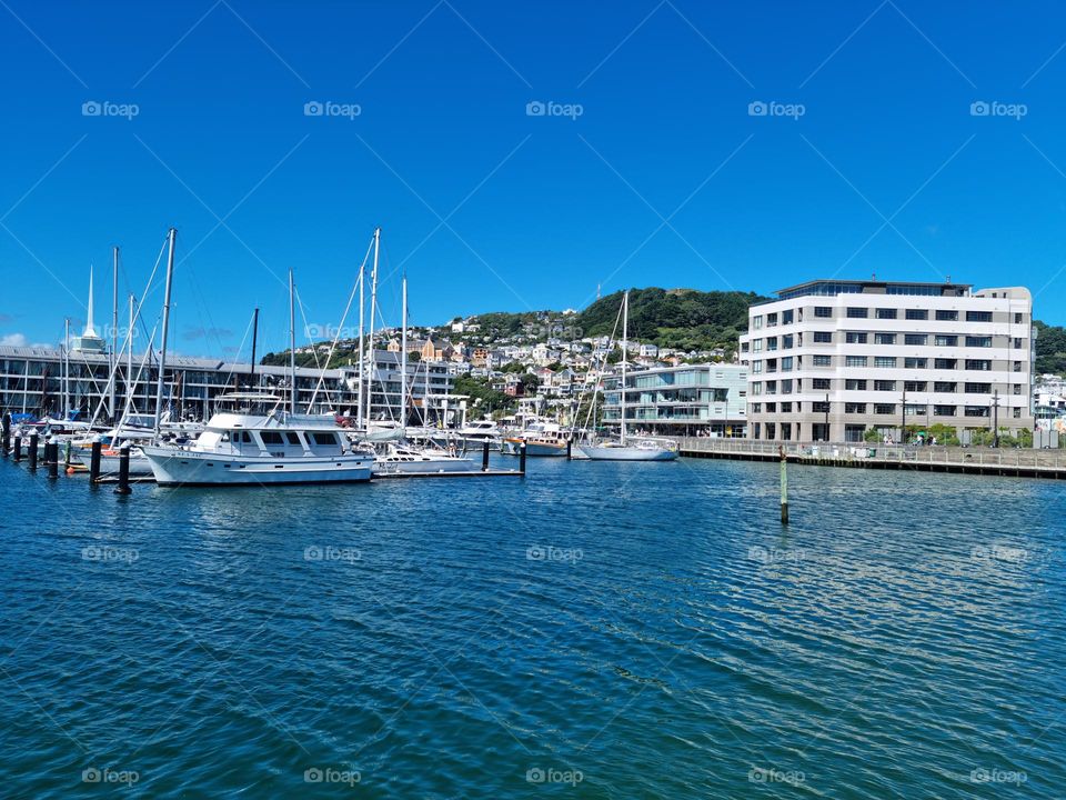 Wellington#Waterfront#Mt Victoria background#Sunday