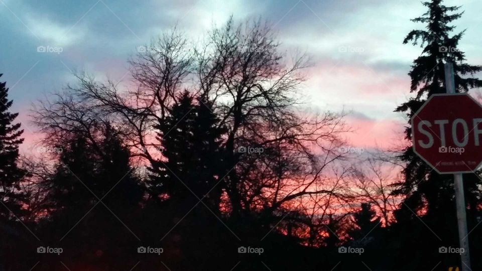 View from my classroom