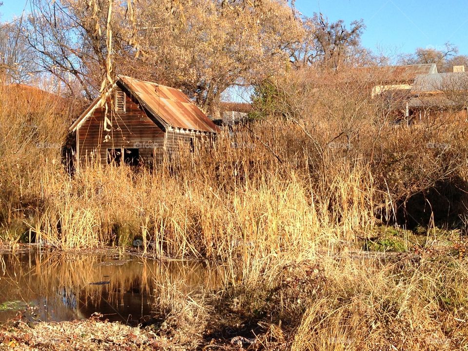 Rusted Roof House Beyond Pond