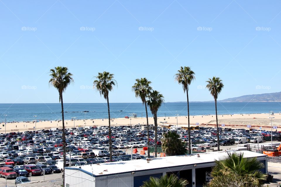 Beach, palm, parking 