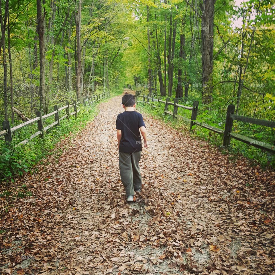 walk in the woods